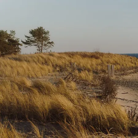 Blueapart Kaszubska Bryza *