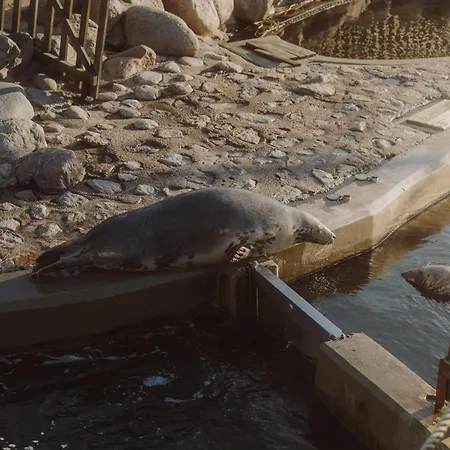 Blueapart Kaszubska Bryza *