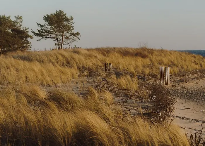 Blueapart Kaszubska Bryza *